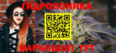 ALPHA-PVP Новозыбков