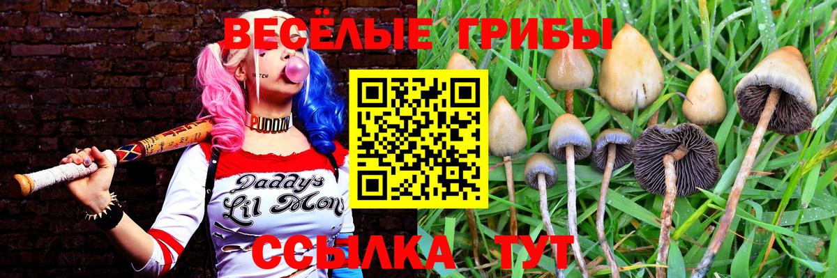 Псилоцибиновые грибы MAGIC MUSHROOMS Якутск