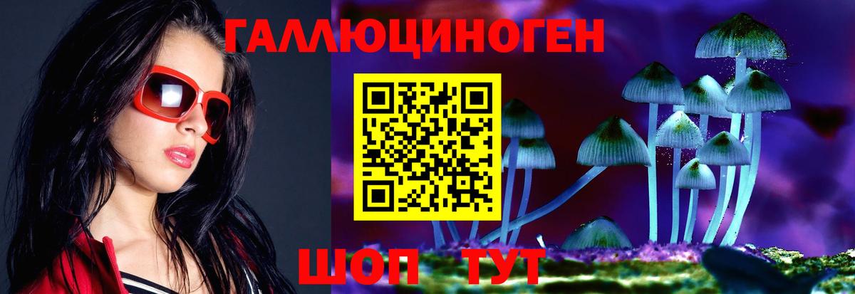 Псилоцибиновые грибы GOLDEN TEACHER  Вход с VPN  Якутск 